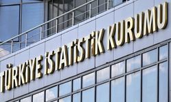 TÜİK: Tek kişilik yaşamlar artıyor