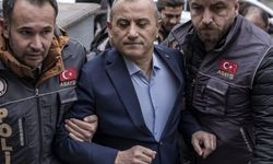 Gülistan Doku dosyası: Vali Sonel’e yeni soruşturma
