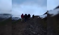 Tunceli'de mantar toplarken, dağda mahsur kaldı