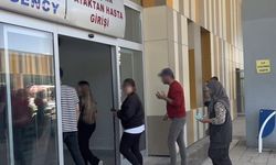 Van'da 171 acemi kasap hastanelik oldu