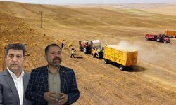 Aşırı yağış Diyarbakır’da mercimek üretimini vurdu!