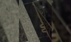 Diyarbakır'da eve giren yılan, korku ve panik yarattı