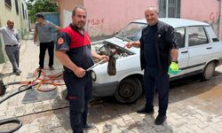 Park halindeki otomobil motoruna yılan girdi