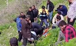 Hakkari Yüksekova’da kayalıklardan düşen kadın yaşamını yitirdi