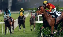 Gazi Koşusu ne zaman saat kaçta? Gazi Koşusu hangi kanalda? Gazi koşusu 2026 koşacak atlar ve jokeyleri