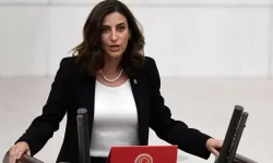 CHP Milletvekili Evrim Rızvanoğlu'nun eşi Murat Emir kimdir?