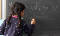 Almanya'da ilk Kürtçe ilkokul açılıyor