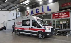 Kız alıp verme husumeti kanlı bitti