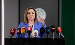 DEM Parti Sözcüsü Doğan: 'Çerçeve yasanın' Temmuzda gelmesinde kararlıyız