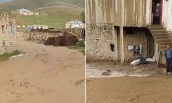 Van Başkale'de sel