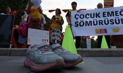 Toplumsal Özgürlük Partisi: Ekonomik kriz çocuk işçiliğini artırıyor