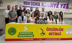 DEM Parti’den Diyarbakır’daki mitinge katılım çağrısı