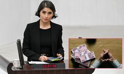 DEM Parti’den Tefecilik Alarmı: “Çiftçi toprağını, esnaf işletmesini kaybediyor”