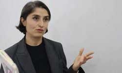 DEM Partili Cupolo'dan erişim engellerine tepki