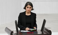DEM Partili vekil, çok tartışılan iddiaları meclis gündemine taşıdı