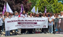 Barışa İhtiyacım Var Kadın İnisiyatifi: Dersim'de güvenlik politikaları kadınları korumuyor