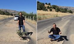 Diyarbakır Çermik'te yollardaki çukurlara ağaç diktiler