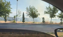 Diyarbakır Batıkent’teki boş arazide yangın
