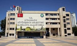 Diyarbakır'da artan sineklere ilişkin belediyeden açıklama: Çetin kış şartları izin vermedi