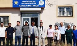 Diyarbakır’da yılda 15 bin hayvan tedavi görüyor
