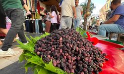 Diyarbakır’ın mor hazinesi tezgâhlarda