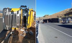 Elazığ'da hayvan yüklü tır devrildi