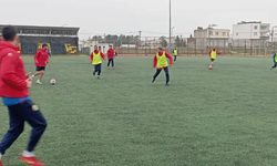 Diyarbakır'da dikkat çeken ayrılık; Sportif Direktör ve Teknik Direktör ile yollar ayrıldı