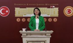 DEM Parti Milletvekili: Öcalan'ın statüsü bir an önce resmiyet kazanmalı