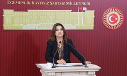 DEM Parti Grup Başkanvekili: İktidar NATO’ya güvenlik vitrini sunuyor