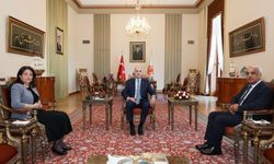 Kritik görüşmeye ilişkin DEM Parti ve TBMM'den açıklama