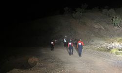 Herkes kayıp çobanı arıyor