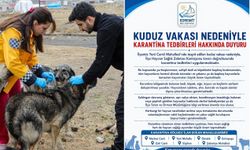 Van’da kuduz karantinası