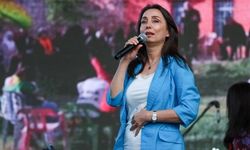 DEM Parti Eşgenel Başkanı Hatimoğulları: Kök yasa başka yasalara zemin hazırlayacak