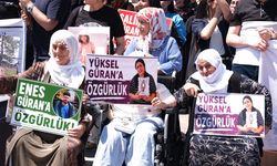 Narin Güran’ın ailesi: Kamuoyu yanlış yönlendirildi