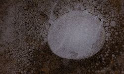 Sanatın nabzı Mardin'de atıyor