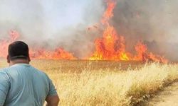 Şanlıurfa'da buğday tarlasında korkutan yangın