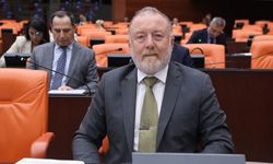 DEM Parti’den Meclis Başkanına: Umarım Avrupa havasıyla Meclis'in havasını da değiştirir