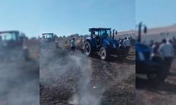 Siirt'te 50 dönümlük ekili alan yandı