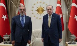 DEM Partili Sırrı Sakık, Erdoğan ile görüşmesinde yaptığı öneriyi açıkladı