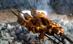 Diyarbakır ciğerinde tarihi rekor