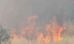 Diyarbakır'da büyük panik yaratan yangın!