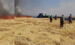 Diyarbakır’da yüzlerce dönüm arazi alevlere teslim oldu