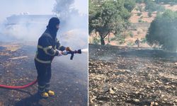 Diyarbakır'da anız ve orman yangınları