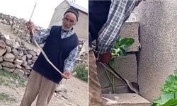 Yılanı çıplak elle yakaladı