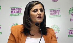 Avrupa’da yaşayan HDP eski Milletvekili Taşdemir: Barış süreci umut yarattı