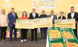 Malatya’da, ‘En İyi Kayısı' yarışması düzenlendi