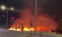 Diyarbakır' da korkutan yangın: Kuru otlar alev aldı
