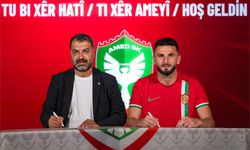 Süper Lig'e yükselen Amedspor toplam kaç transfre yaptı?