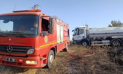 Diyarbakır'da anız yangınları birçok canlının hayatına mal oldu