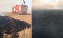 150 dönüm alanda anız yangını